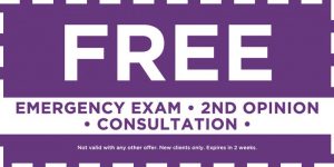 free-exam